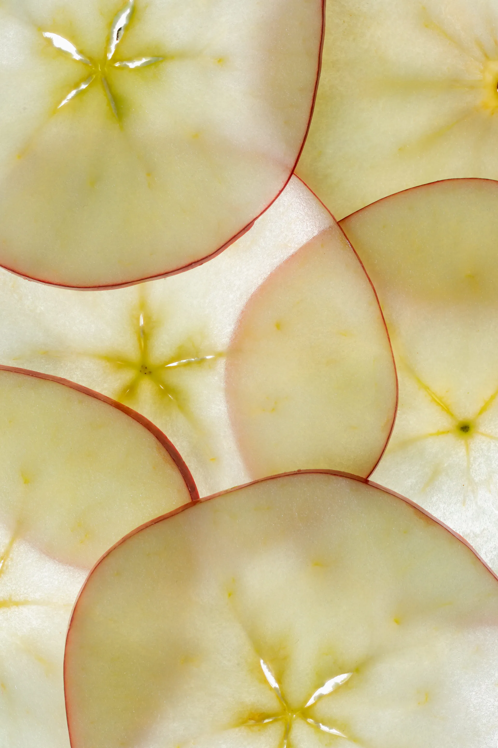 Test de microbiota